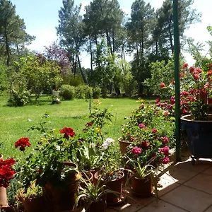 Hébergement de vacances Domaine Du Planas - Patio, Ailhon